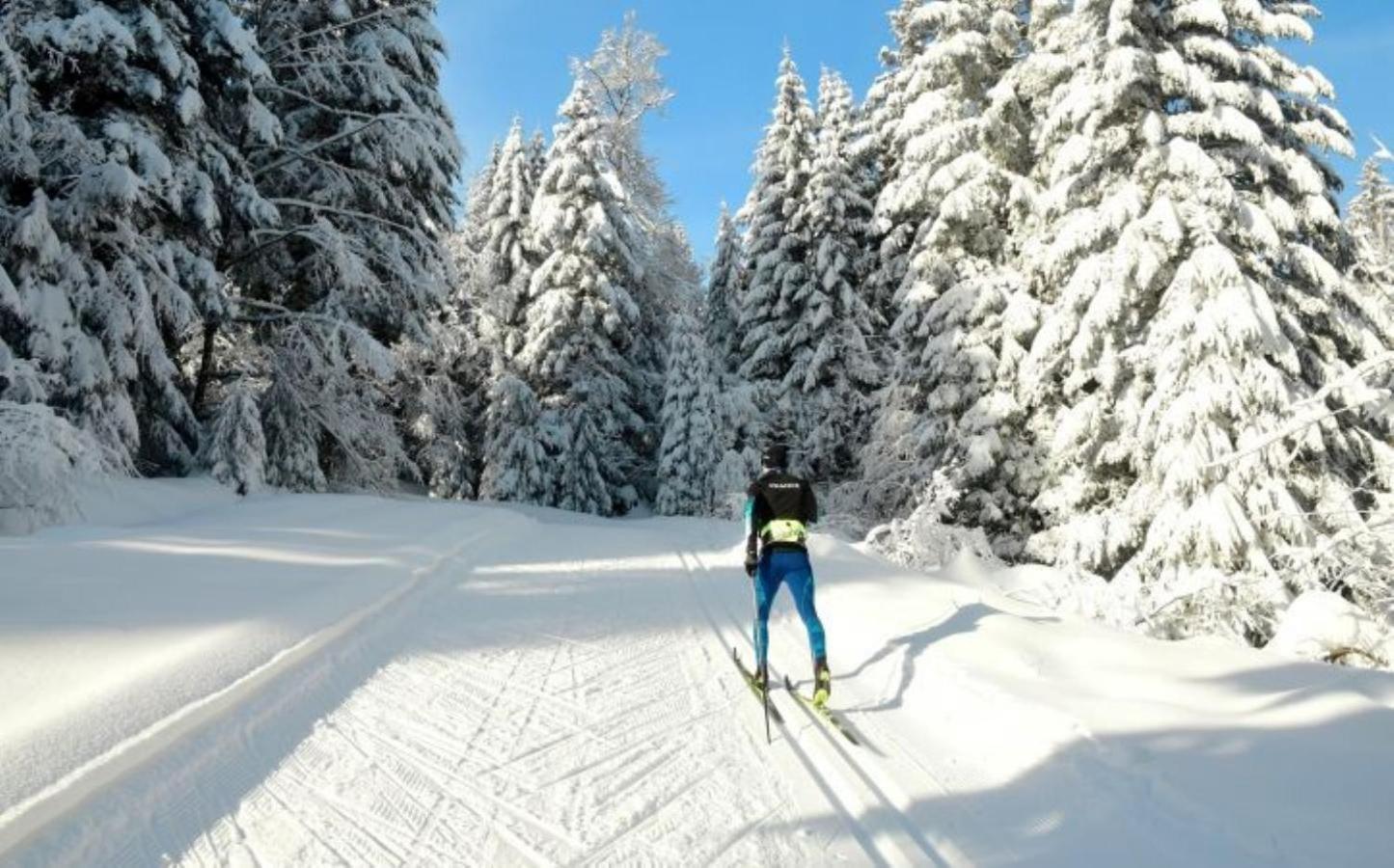 Villa 18.78, 10 Min De La Suisse Damprichard Eksteriør bilde